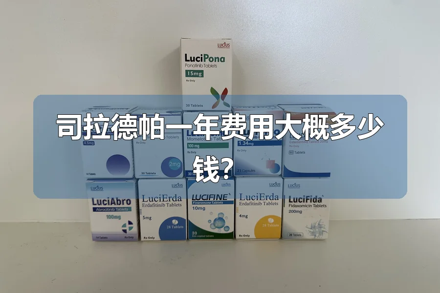 司拉德帕一年费用大概多少钱？